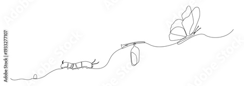 A minimalist, continuous single line drawing illustrating the life cycle of a butterfly from egg to caterpillar, pupa, and adult butterfly.