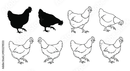 Variety of chicken illustrations silhouettes and line drawings shown