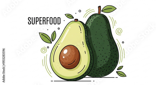 Avocado halves with pit and leaves superfood illustration on white background with green accents