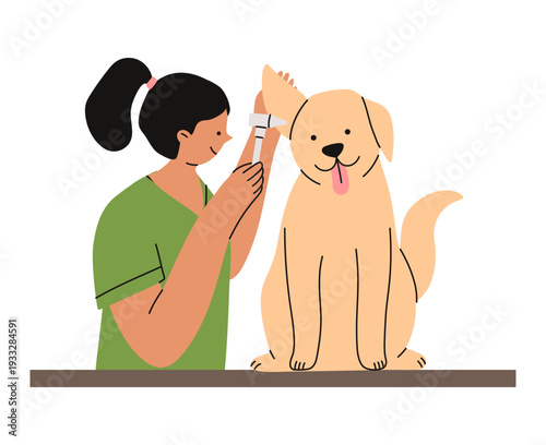 Veterinarian examining dog's ear during clinic visit. Professional pet healthcare and veterinary hospital service concept for advertising, websites, branding design. Flat vector illustration.