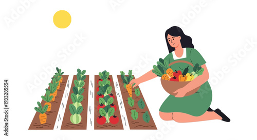 Woman Harvesting Vegetables in Garden Vector Illustration