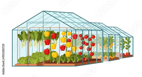 Greenhouse with Growing Vegetables and Fruits Vector Illustration