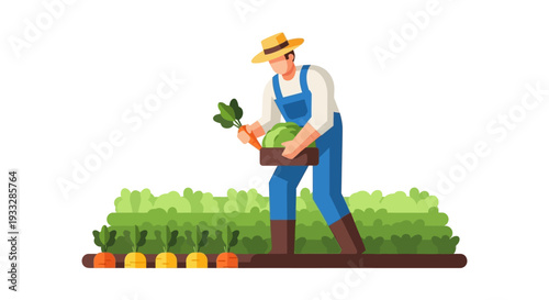 Farmer harvesting carrots and vegetables in garden vector illustration