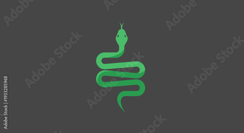Green, coiled snake on gray