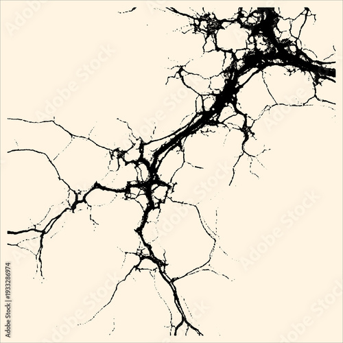 Detailed ink illustration of cracked earth or a network of fissures, resembling a branching pattern or a damaged surface.