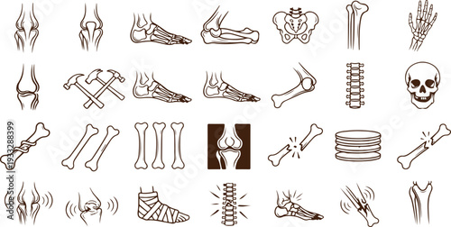 Detailed illustrations of human skeleton and bone injuries   pain