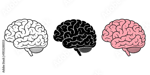 Three different colored brain illustrations in a row on white background