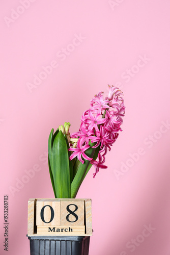 Beautiful flowers for International Women's Day