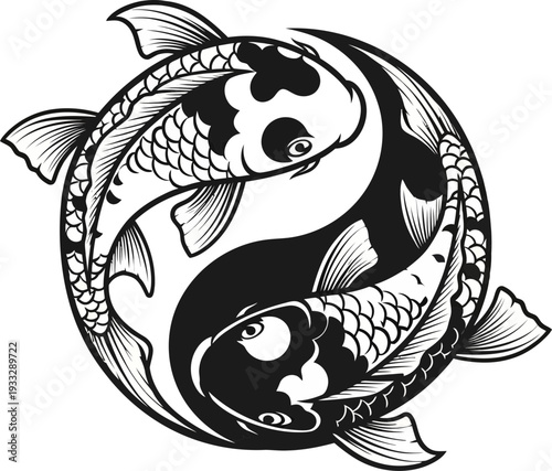 Yin yang koi fish swimming in harmony