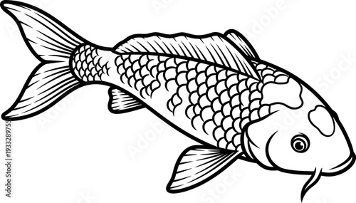 Stunning koi fish illustration in black and white