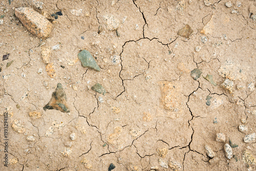 Desolate landscape of dried up lake bed. Global warming and ecological disaster imagery.