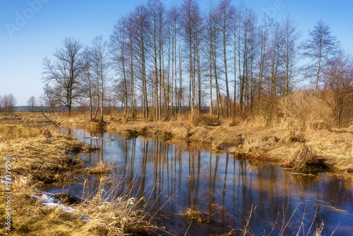 Wiosna wkracza w Dolinę Górnej Narwi, Podlasie, Polska