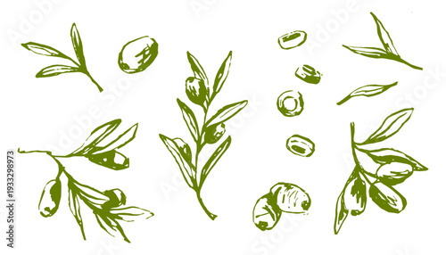 Olive green set with nature vector textures. Sketch fruit and vintage leaf on white. Organic cosmetics badges and vegan health nutrition symbols. Hand drawn botanical elements for eco friendly design.