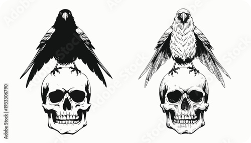 A black silhouette and a white detailed of a bird with wings spread on a skull d