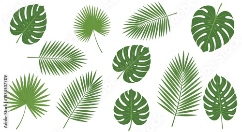 Collection of various tropical leaves in green on white background.