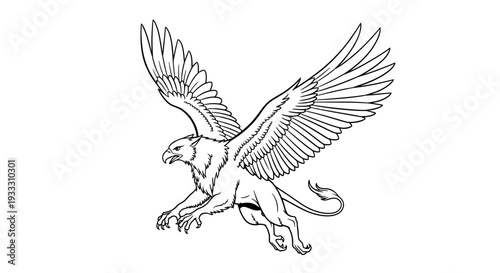 majestic griffin line drawing with spread wings