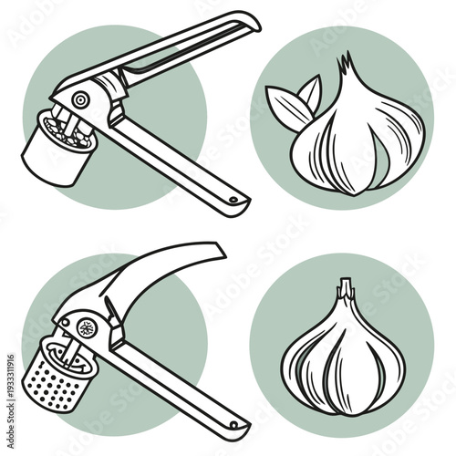 Illustration showing different types of garlic presses and whole garlic bulbs with green circular backgrounds in a clean and modern outline aesthetic
