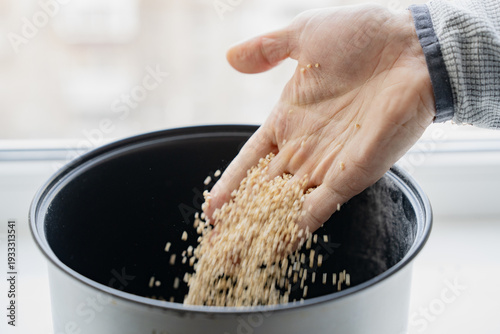 Bild auf Leinwand Pour buckwheat groats into a saucepan to cook porridge