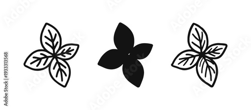 Basil leaves icon set. Fresh herb and seasoning symbol in outline, solid, and hand-drawn styles for cooking.