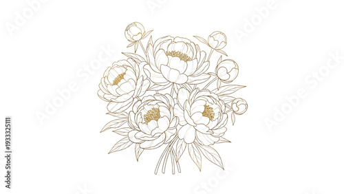 Minimalist White Peony Flower Gold Line Art Vector Set for Wedding Invitations
