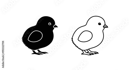 Black and white cute chicks Vector