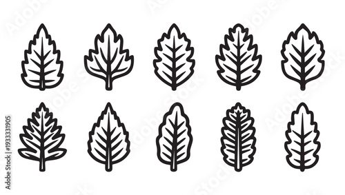 Set of Ten Different Leaf Icons Black Outline on White Background Nature Elements