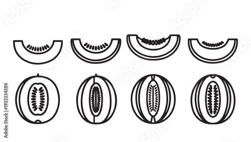 Melon Slices and Halves Line Art Icons Fresh Fruit Vector Illustration