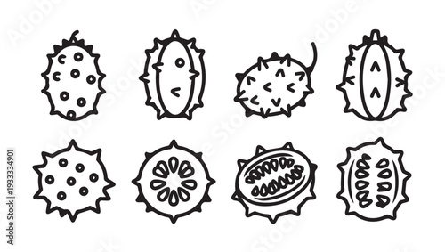 Kiwano Fruit Icons Set Vector Outline Illustration Fresh Exotic Food