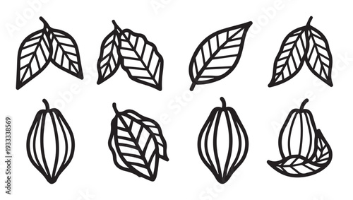 Cocoa Pods and Leaves Line Art Collection Hand Drawn Cacao Fruit and Foliage Elements Stock Vector
