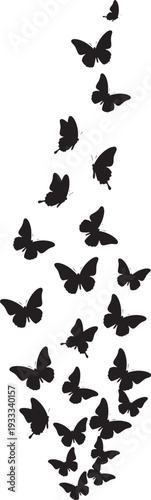 Elegant swarm of black butterfly silhouettes gracefully fluttering and dancing in a dynamic composition