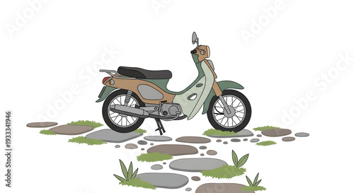 Vintage motorbike parked on stone path surrounded by grass  