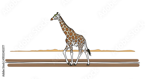 Giraffe walking across safari road with landscape background  