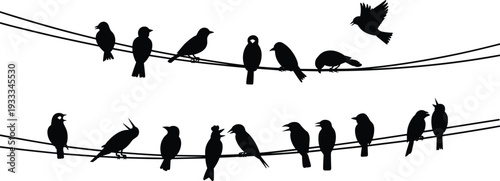 Bird silhouettes on power lines isolated on white background, black flying and perched songbirds vector collection for nature design and decor