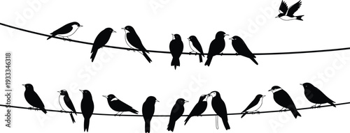 Birds on wire silhouette collection isolated on white background, black flying and sitting songbird vector set for nature design and illustration