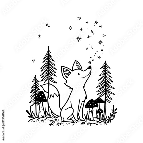 Fox Looking Up at Stars in Forest
