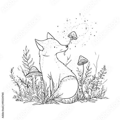 Fox Sniffing Mushroom in Forest