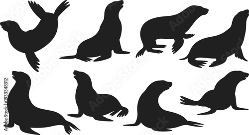 Sea lion silhouettes set isolated on white background, marine mammal collection in different poses, swimming and sitting wildlife vector illustration
