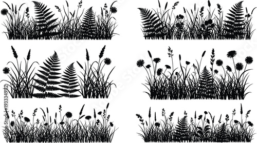 Wild grass and fern silhouettes collection isolated on white background, black meadow plants vector set for landscape design, nature illustration and decorative border