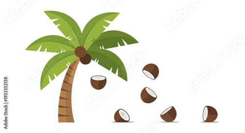 Tropical Palm Tree Dropping Ripe Coconuts on White Background.