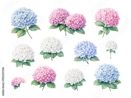 Watercolor hydrangea flower vector set isolated on white background. Manually optivector soft blue, pink and white hydrangeas for wedding invitations, floral branding, packaging, and romantic design.