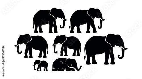 Elephant family unit of adult and baby elephants in various poses. Wild African mammal group showing strength and unity