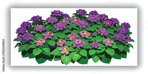 A lush, vibrant Lantana bush, centered in the frame, is depicted against a transparent background. The bush displays an abundance of small, clustered purple flowers and verdant green leaves, creating 