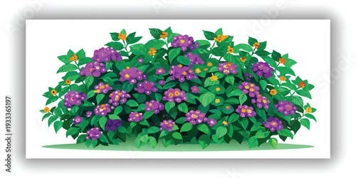 A lush, vibrant Lantana bush, centered in the frame, is depicted against a transparent background. The bush displays an abundance of small, clustered purple flowers and verdant green leaves, creating 