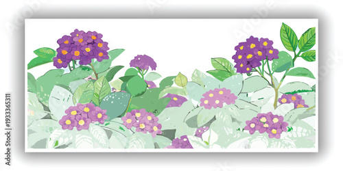 A lush, vibrant Lantana bush, centered in the frame, is depicted against a transparent background. The bush displays an abundance of small, clustered purple flowers and verdant green leaves, creating 