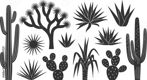 Cactus and desert plant silhouettes collection, succulent vector icons, agave and saguaro elements, cad drawing flat vector illustration.