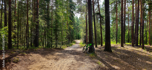 Bicycle on a country road in the forest. 