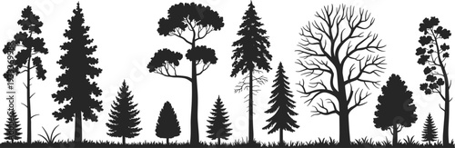 Forest tree silhouettes collection, pine spruce and deciduous woodland vector icons, nature elements, cad drawing flat vector illustration.