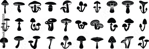 Mushroom silhouettes collection, fungi vector icons, forest toadstool elements set, cad drawing flat vector illustration, edible fungus, black.