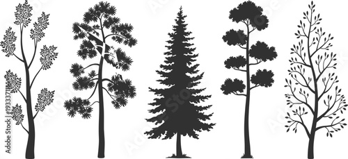 Tree silhouettes collection, pine spruce and deciduous forest vector icons, nature elements set, cad drawing flat vector illustration.