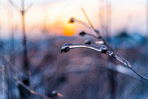 Close-up of glaze ice covered twig against blurred winter sunset sky